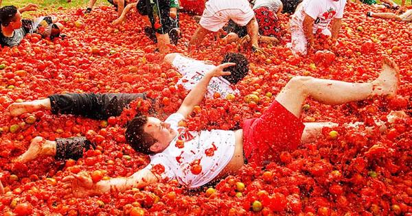 死亡事故が起こる主な原因