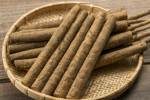 ゴボウに込められた意味と象徴