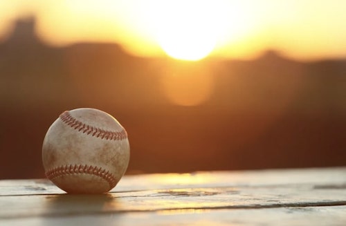 今後の展望とまとめ