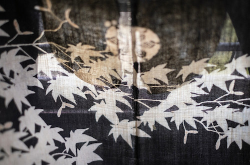 朱子学の主要な担い手たち