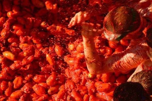 トマト祭りの日程