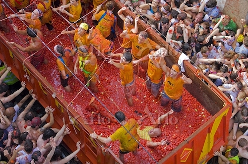 トマト祭りを楽しむためのポイント
